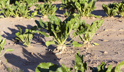 Similar image 13047613