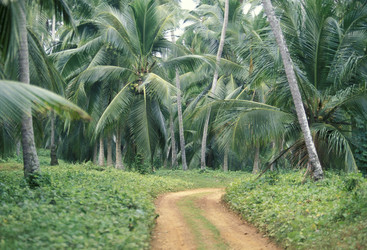 Similar image 13004797