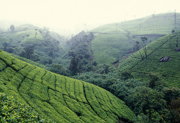 Similar image 13064122