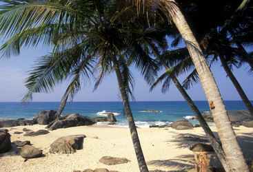 Similar image 13064139