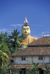 Similar image 13064143