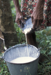 Similar image 13064162