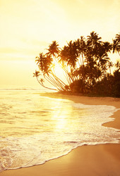 Similar image 13064163