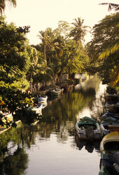 Similar image 13064164