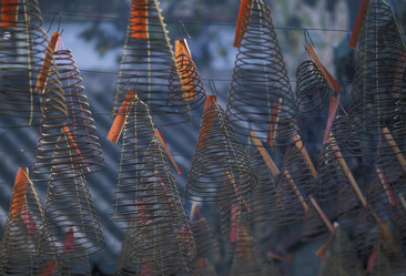 Similar image 13004609