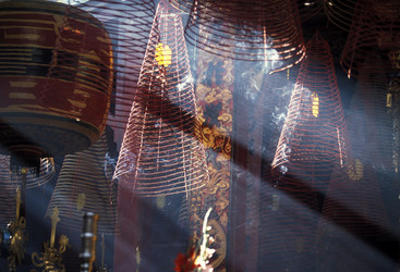 Similar image 13004663