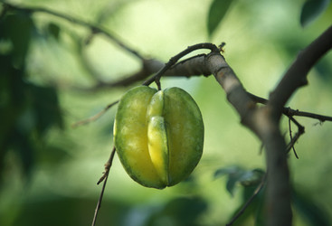 Similar image 13004724