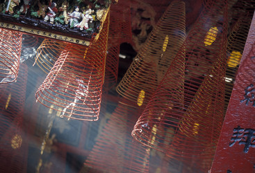 Similar image 13004785