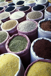 Similar image 13064128