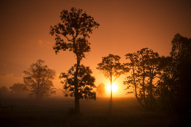 Similar image 13004568