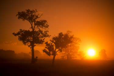 Similar image 13004569