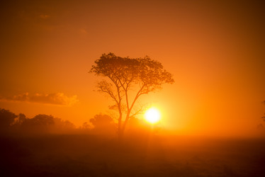 Similar image 13004589