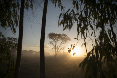 Similar image 13004590