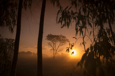 Similar image 13004611