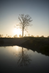 Similar image 13004629