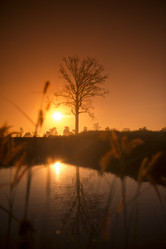 Similar image 13004630