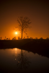 Similar image 13004647