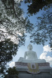 Similar image 13004666