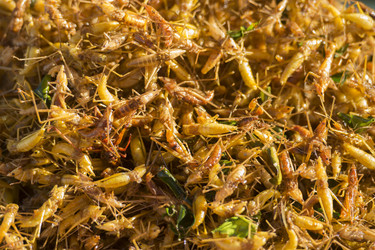 Similar image 13004729