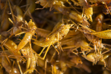 Similar image 13004731