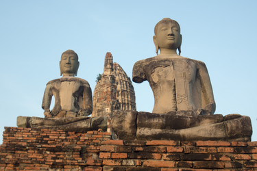 Similar image 13004616