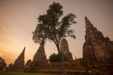 Similar image 13004715