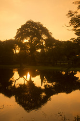 Similar image 13004657