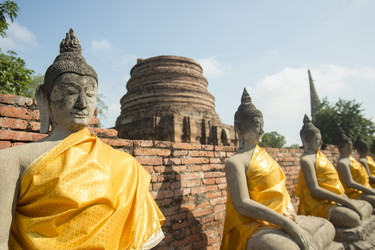 Similar image 13004699