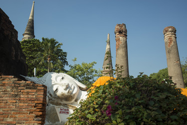 Similar image 13004737