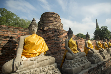 Similar image 13064154