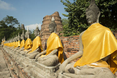 Similar image 13004597