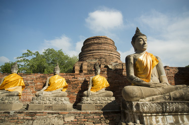 Similar image 13004598