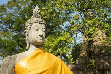 Similar image 13004618