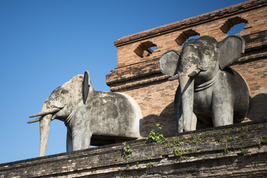 Similar image 13004638