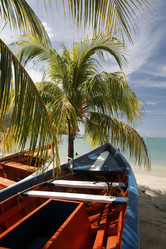 Similar image 13004642