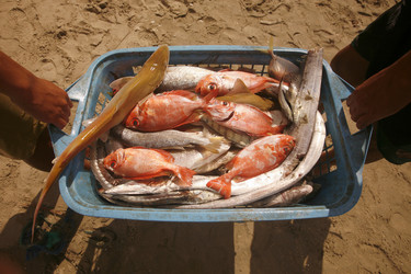 Similar image 13004660