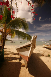 Similar image 13004689