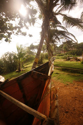 Similar image 13004774