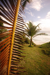 Similar image 13004775