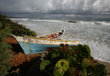 Similar image 13004794