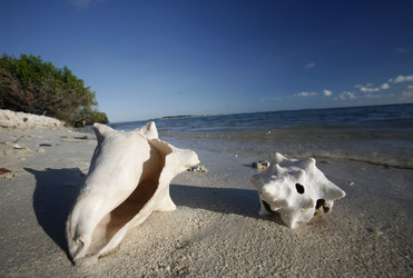 Similar image 13004581