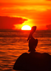 Similar image 13004585