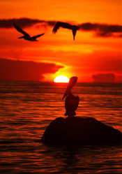 Similar image 13004586