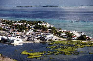 Similar image 13004643