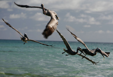 Similar image 13004760