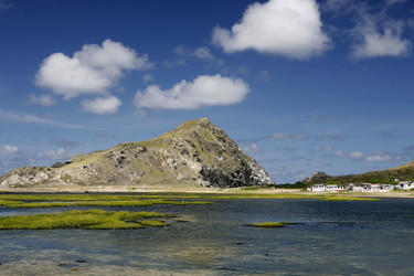 Similar image 13004796