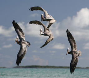 Similar image 13064157