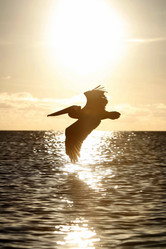 Similar image 13064218