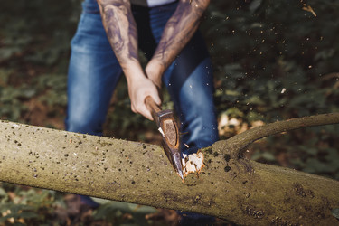 Similar image 13043234