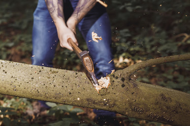 Similar image 13043235